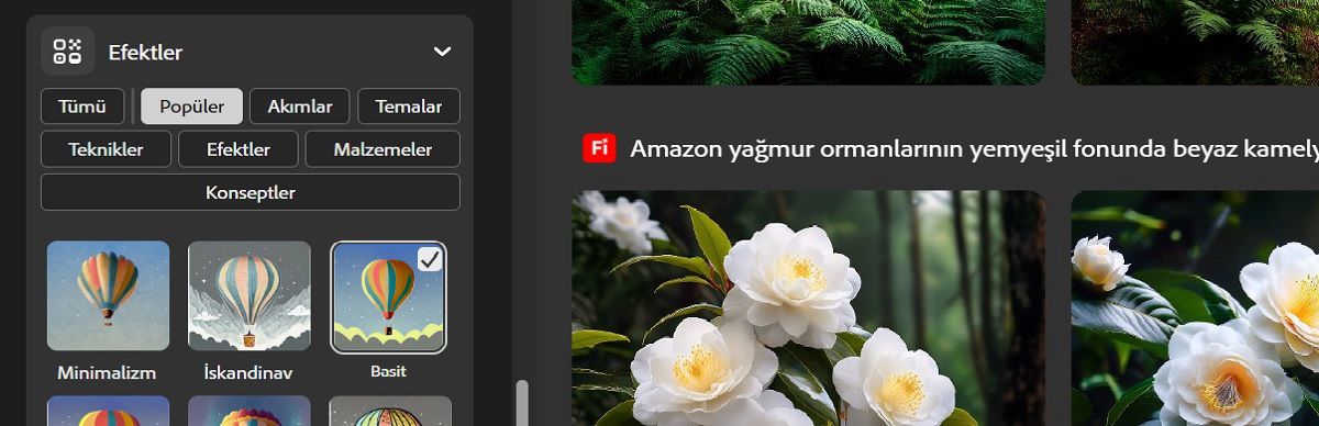 Efektler bölümünde, aralarından seçim yapabileceğiniz birden çok efekt kategorisi ve efekt bulunur. Şu anda görüntü oluşturma için Bokeh efekti seçilidir.