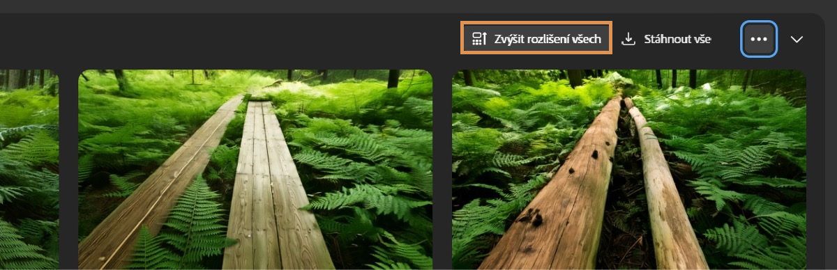 Nad vygenerovanými variantami jsou možnosti ke stažení, vylepšení a další. Možnost Zvýšit rozlišení všech slouží k vylepšení všech obrázků na rozlišení 2K.