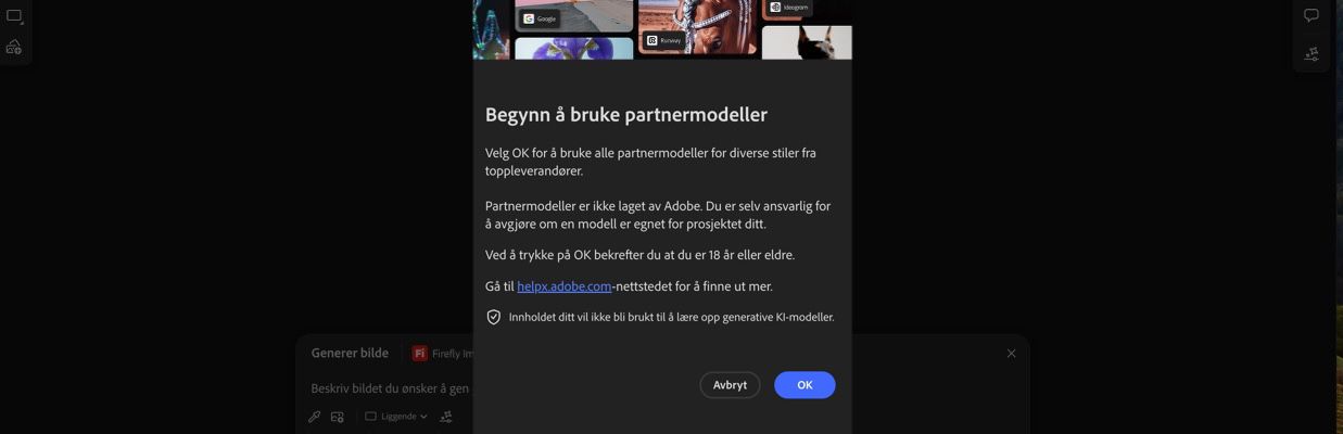Begynn å bruke partnermodellene-meldingen er åpen, og du har muligheten til å fortsette eller avbryte.