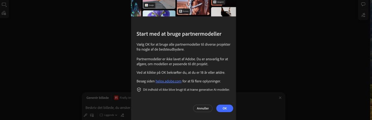Start med at bruge partnermodellerne er åben, og du har mulighed for at fortsætte eller annullere.