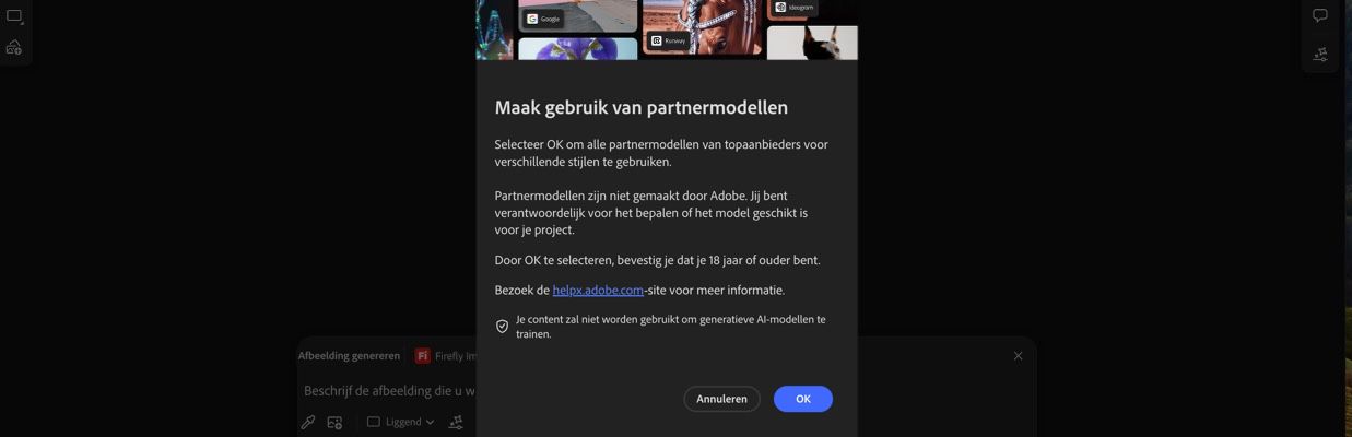 Het deelvenster Maak gebruik van partnermodellen is open en je hebt de optie om door te gaan of te annuleren.
