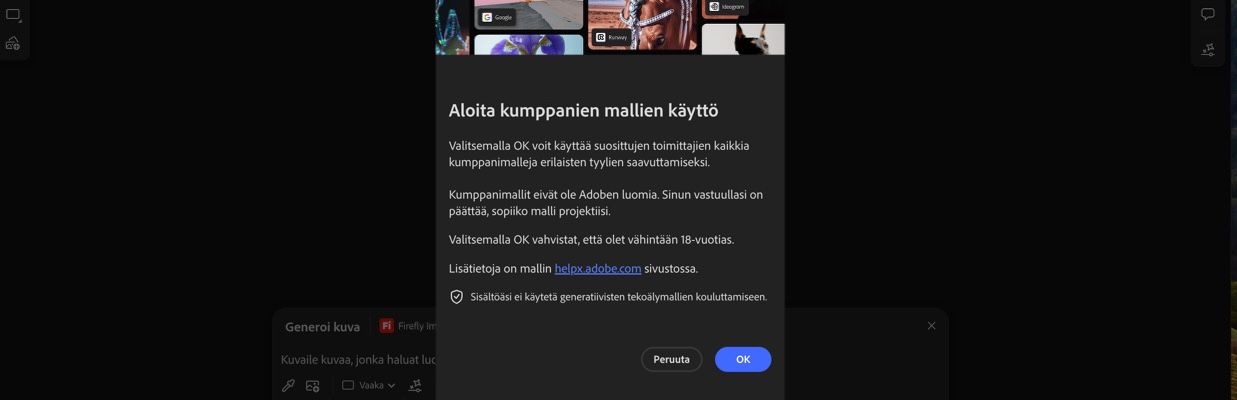 Aloita kumppanien mallien käyttö -ikkuna on auki, ja voit valita, haluatko jatkaa vai peruuttaa.