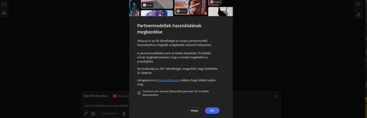 A Partnermodellek használatának megkezdése ablak nyitva van, és választhat a folytatás vagy a megszakítás között.