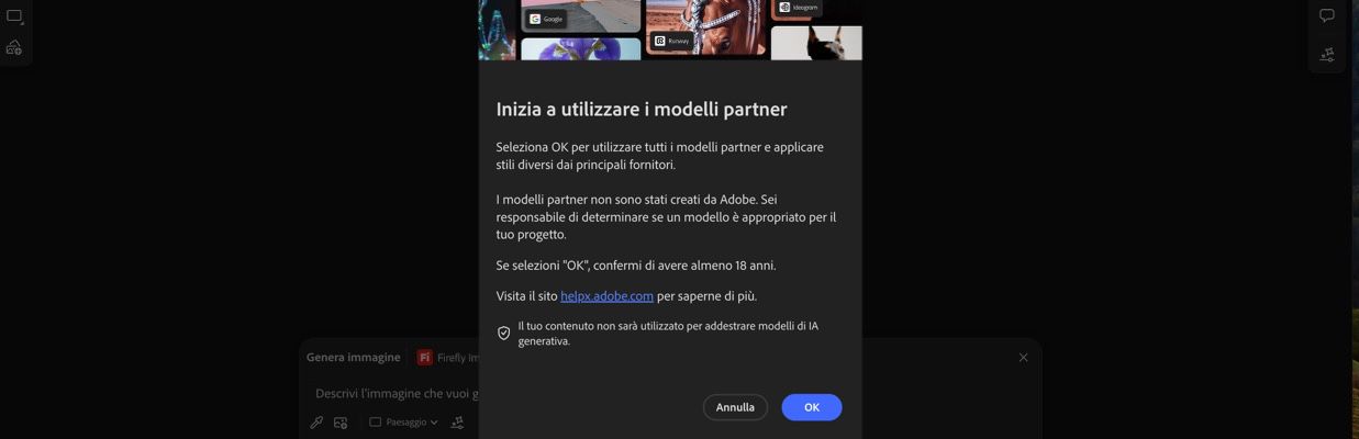 L'avvio dell'utilizzo dei modelli partner è aperto e hai l'opzione di continuare o annullare.