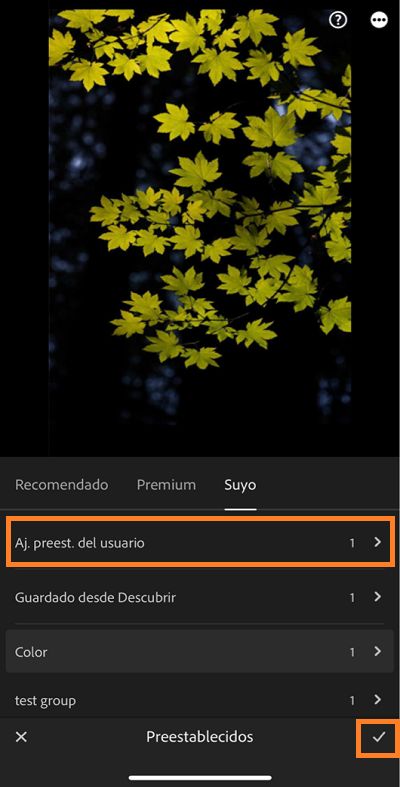 compatibles parcialmente