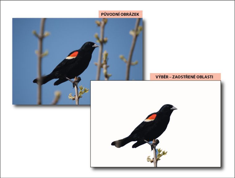 Photoshop – Výběr oblasti zaměření