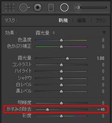 Lightroom 部分補正としてのかすみの除去