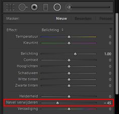 Nevel verwijderen als een lokale aanpassing in Lightroom