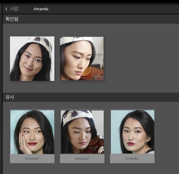 Lightroom에서 유사 사진의 이름 제안