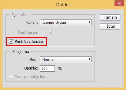 Renk Uyarlaması ile İçeriğe Uygun Dolgu