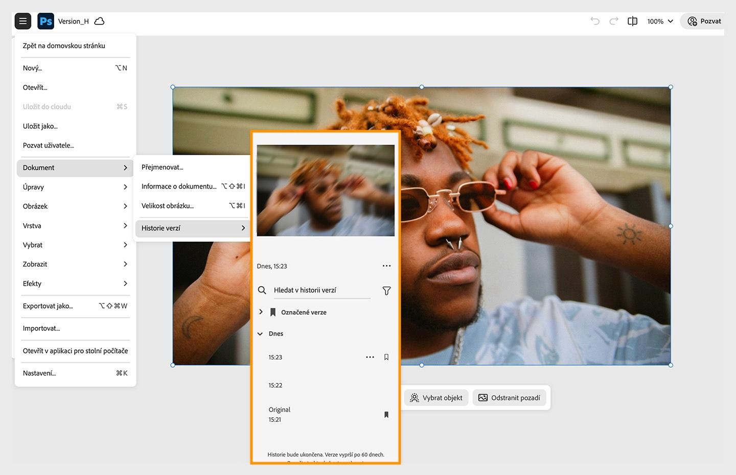 Panel Historie verzí zobrazuje verze dokumentu, které lze snadno obnovit pro další úpravy.