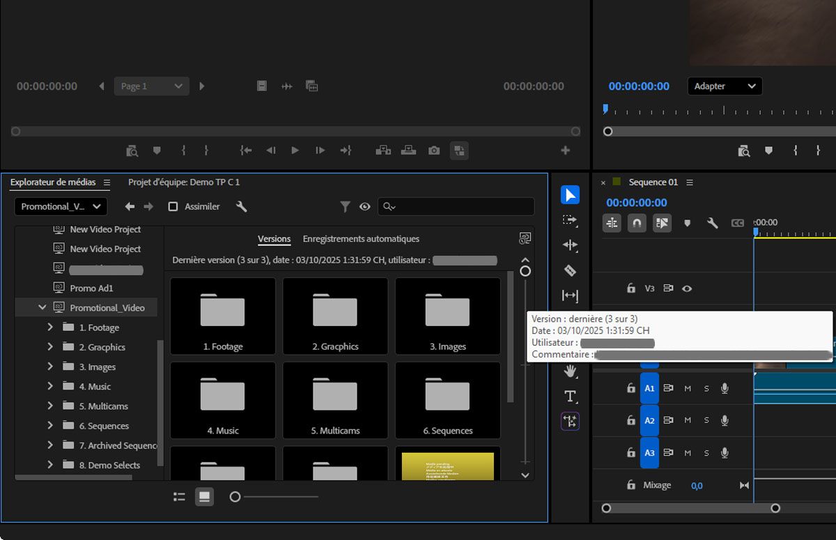 Copie d’écran montrant l’option Versions du Projet d’équipe dans le panneau Explorateur de médias.