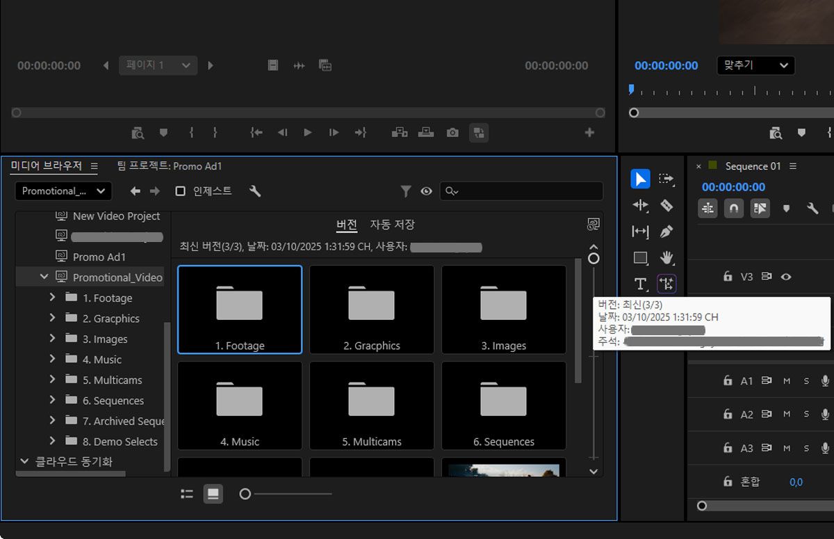 미디어 브라우저 패널의 Team Project 버전 옵션에 Team Projects 목록과 세부 정보가 표시됩니다.