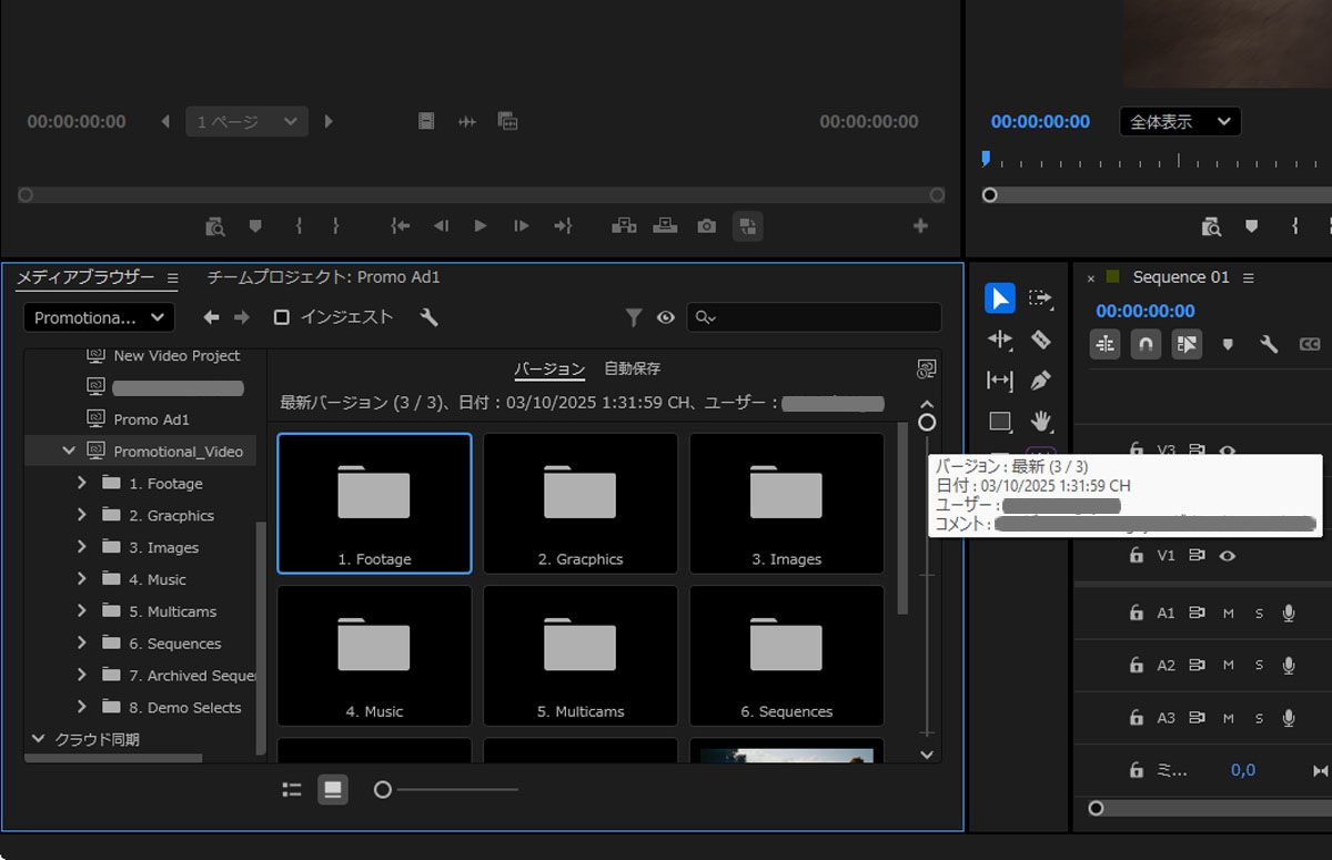 メディアブラウザーパネルの 「チームプロジェクトのバージョン」オプションを示すスクリーンショット。