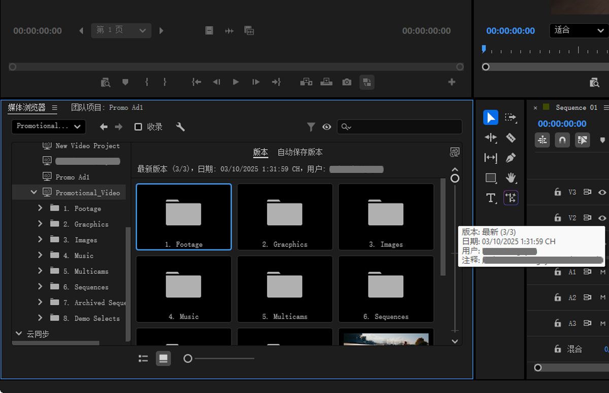 “媒体浏览器”面板中的“团队项目版本”选项显示了团队项目列表及其详细信息。