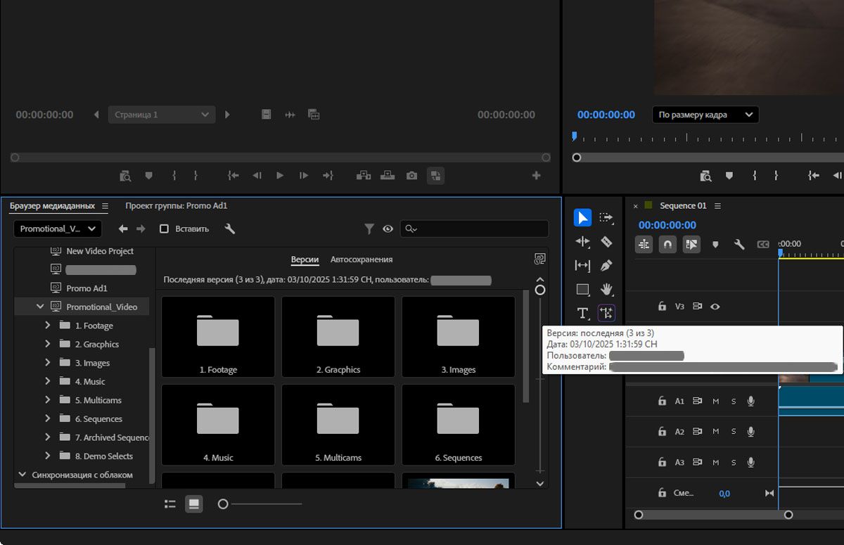 Опция «Версии проекта группы» на панели «Браузер медиаданных» отображает список Team Projects и подробную информацию о них.