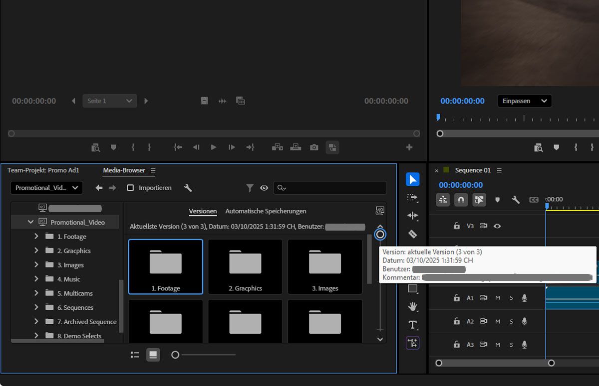 Ein Screenshot, der die Option „Team-Projekt-Versionen“ im Bedienfeld „Media-Browser“ zeigt.