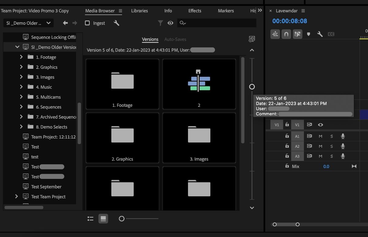 A screenshot that shows the Team Project Versions option in the Media Browser panel.