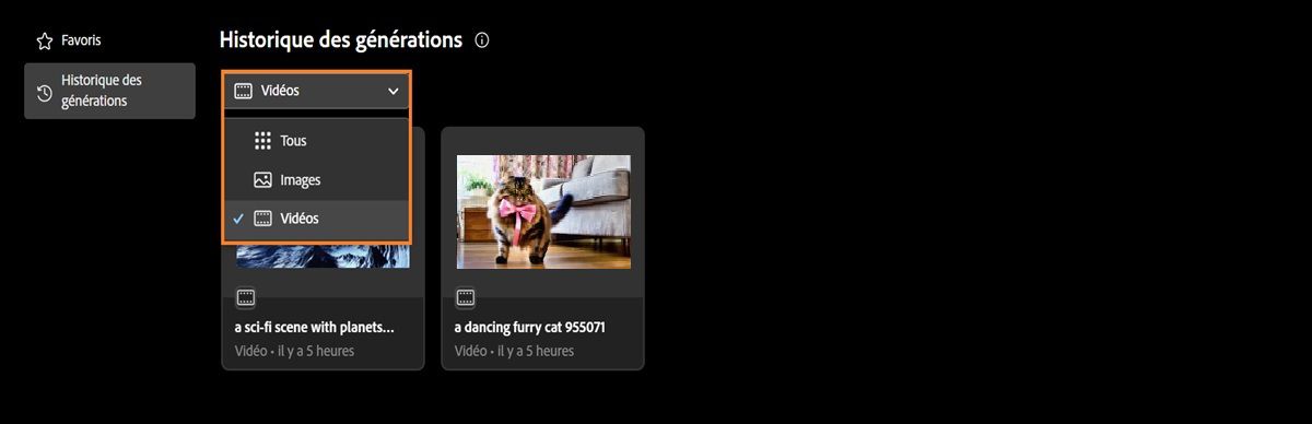 Dans l’onglet Historique des générations, le menu déroulant propose des options permettant d’afficher les images et/ou les vidéos générées.
