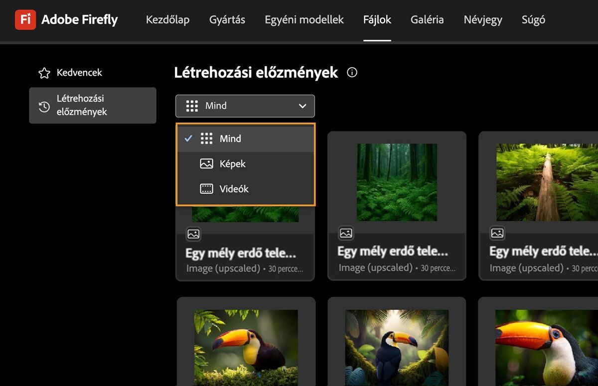 A Létrehozási előzmények lapon a legördülő menüben választhat a létrehozott képek, videók vagy az összes fájl megjelenítése közül.