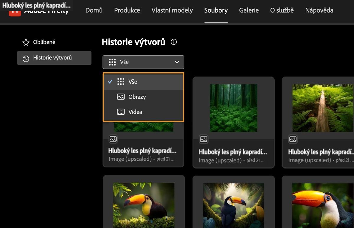 Na kartě Historie výtvorů nabízí rozbalovací nabídka možnosti zobrazení vygenerovaných obrázků, videí nebo veškerého obsahu.
