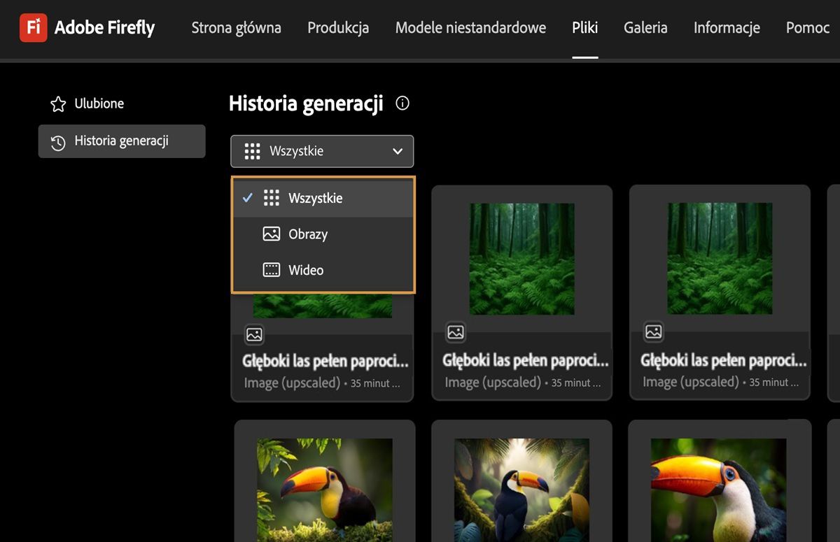 Na karcie Historia generacji menu rozwijane zawiera opcje wyświetlania wygenerowanych obrazów, plików wideo lub wszystkich plików.