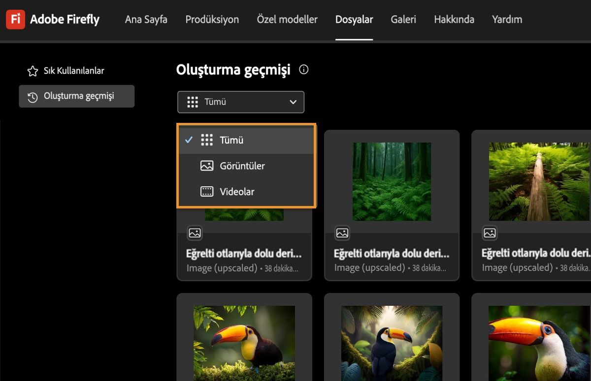 Oluşturma geçmişi sekmesinde, açılır menü oluşturulan görüntüleri, videoları veya tümünü görüntüleme seçeneklerini sunar.