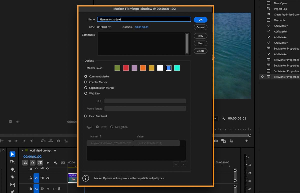Ventana de Marcadores de Premiere Pro mostrando información del marcador.