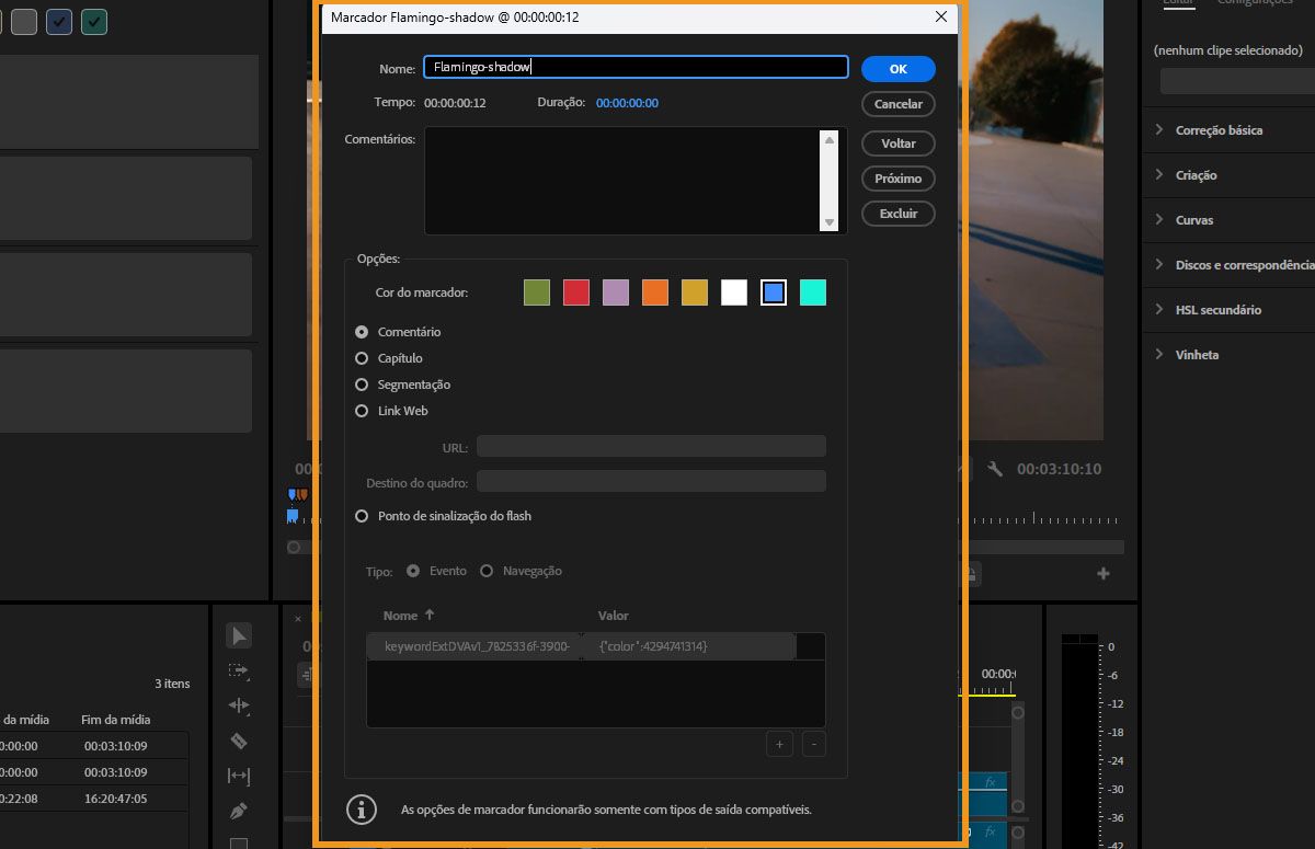 Janela de Marcadores do Premiere Pro mostrando informações do marcador.