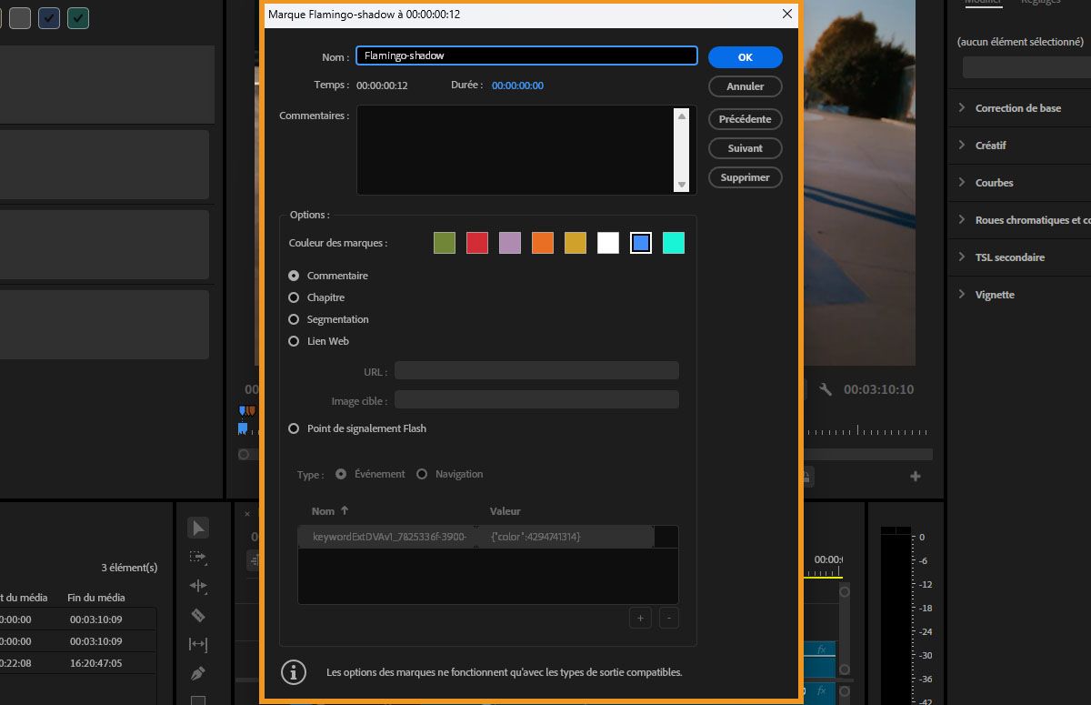 Fenêtre Marqueurs de Premiere Pro affichant les informations du marqueur.