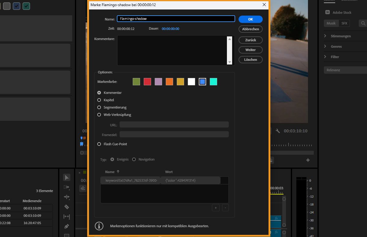 Fenster „Marken“ in Premiere Pro mit Markeninformationen.