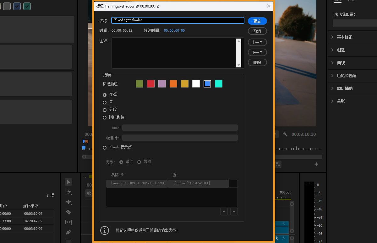 Premiere Pro 标记窗口显示标记信息。
