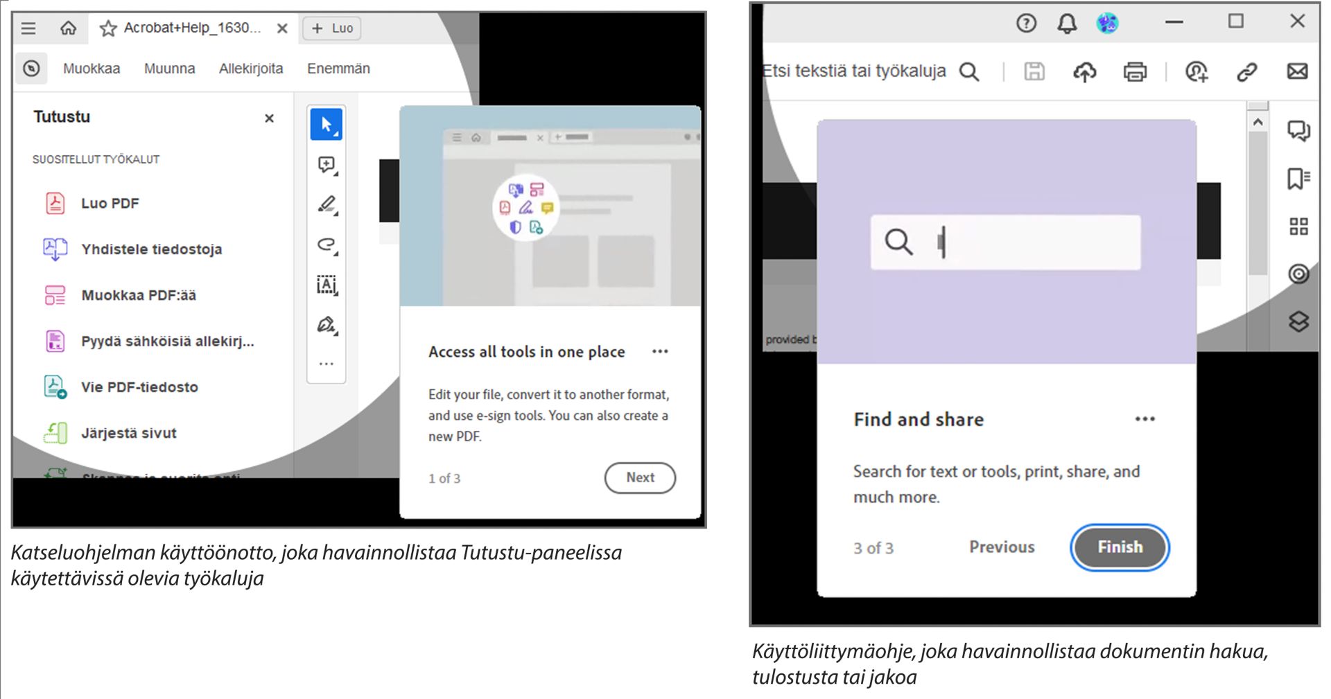Katseluohjelman käyttöönoton esittely