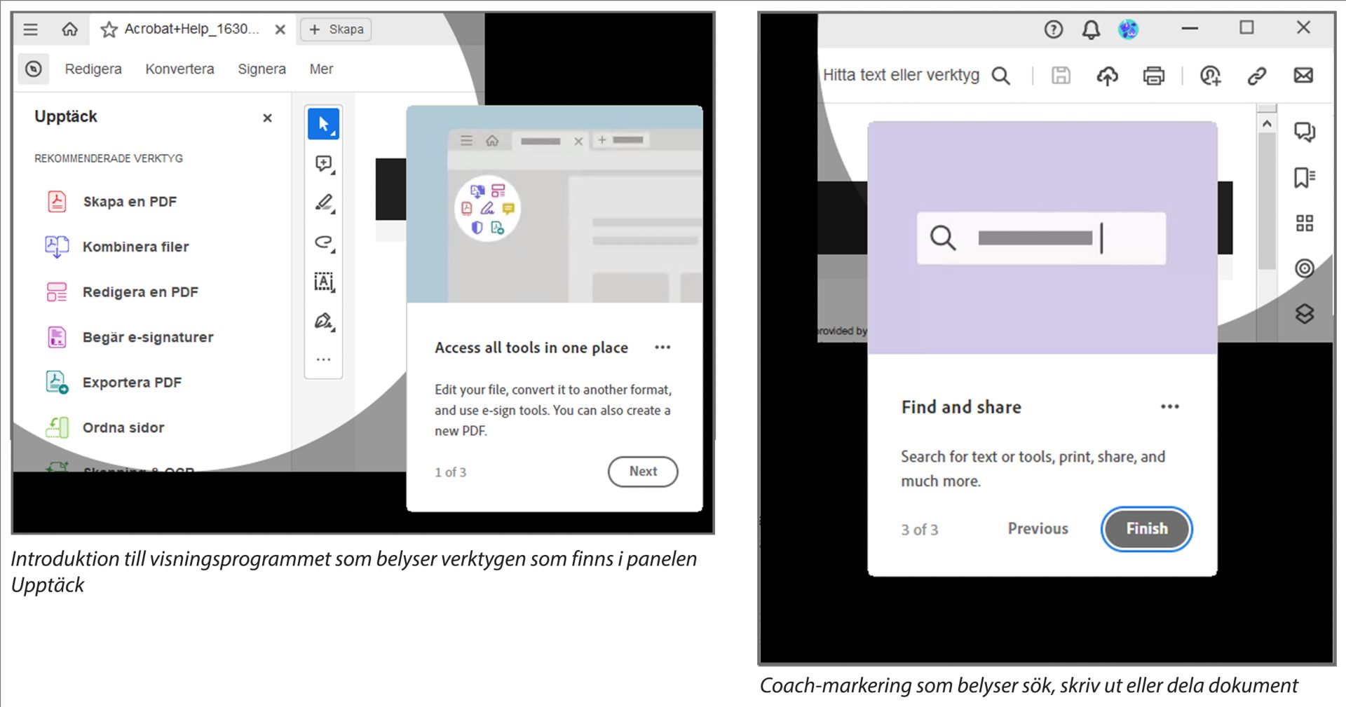 Introduktion till visningsprogrammet