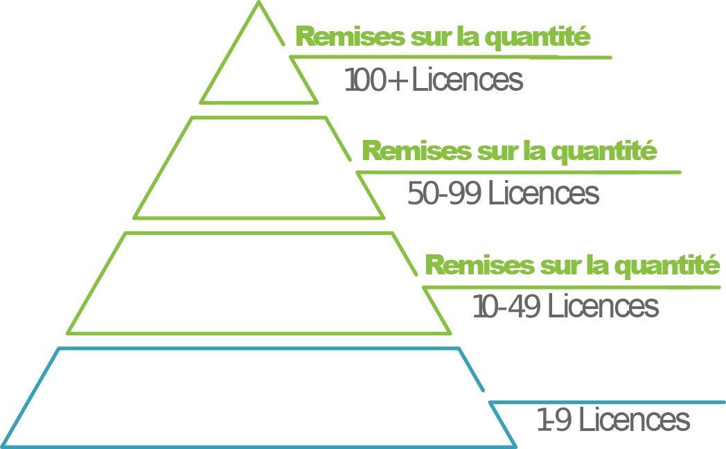 Affiche la pyramide des remises sur volume par rapport au nombre de licences