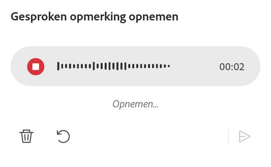 Neem uw bericht op met de tool voor stemcommentaar van de Acrobat Reader-app.