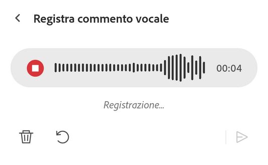 Registra il tuo messaggio sullo strumento di commento vocale dell’app Acrobat Reader.