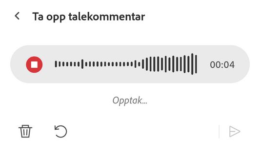 Ta opp meldingen din i Acrobat Reader-appens talekommentarverktøy.