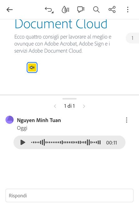 Modifica o elimina il commento vocale aggiunto.