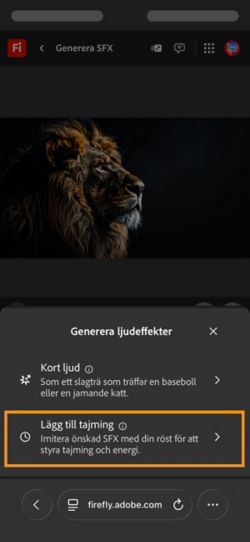 Alternativet Generera ljudeffekter har två olika alternativ och alternativet Ljud tajmat med din video är valt bland de tillgängliga alternativen.