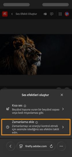 Ses efektleri oluştur seçeneğinde iki farklı seçenek bulunmaktadır ve mevcut seçeneklerden Videonuzla zamanlanmış ses seçeneği seçilidir.