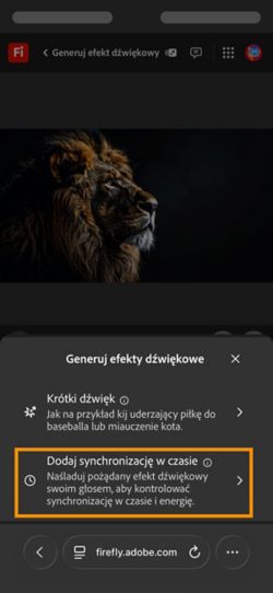 Opcja Generuj efekty dźwiękowe ma dwie różne opcje, a opcja Dźwięk zsynchronizowany z wideo jest wybrana spośród dostępnych opcji.
