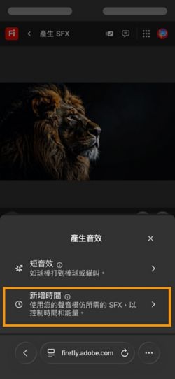 「產生音效」選項有兩個不同的選項，且已從可用的選項中選取「安排影片的音效時間」選項。