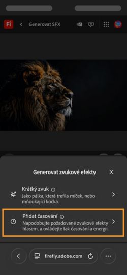 Možnost Generovat zvukové efekty má dvě různé volby a z dostupných možností je vybrána volba Časovaný zvuk s vaším videem.