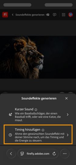 Für die Option „Soundeffekte generieren“ gibt es zwei verschiedene Optionen, und die Option „Sound passend zum Video“ ist aus den verfügbaren Optionen ausgewählt.