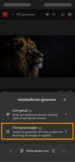 De optie Geluidseffecten genereren heeft twee verschillende opties en de optie Getimed geluid bij je video is geselecteerd in de beschikbare opties.