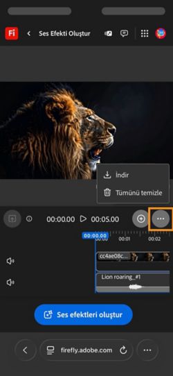 Oluşturulan ses veya Video klibini indirebilmeniz için İndir seçeneği vurgulanır.