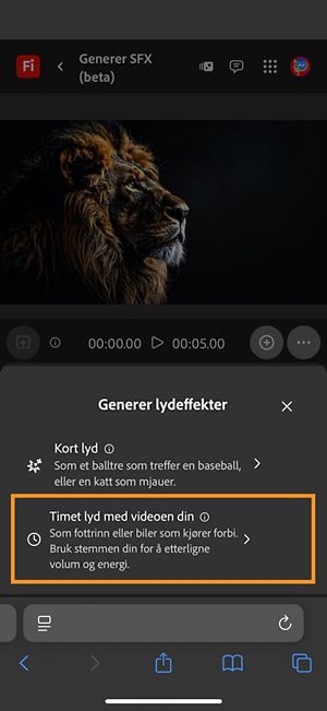 Alternativet Generer lydeffekter har to forskjellige alternativer, og alternativet Lyd timet med videoen er valgt fra de tilgjengelige alternativene.