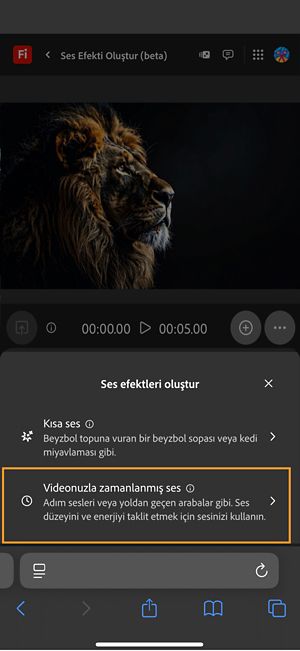 Ses efektleri oluştur seçeneğinde iki farklı seçenek bulunmaktadır ve mevcut seçeneklerden Videonuzla zamanlanmış ses seçeneği seçilidir.