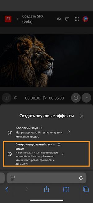 Параметр «Создать звуковые эффекты» включает два различных параметра, и из них выбран параметр «Синхронизированный звук и видео».